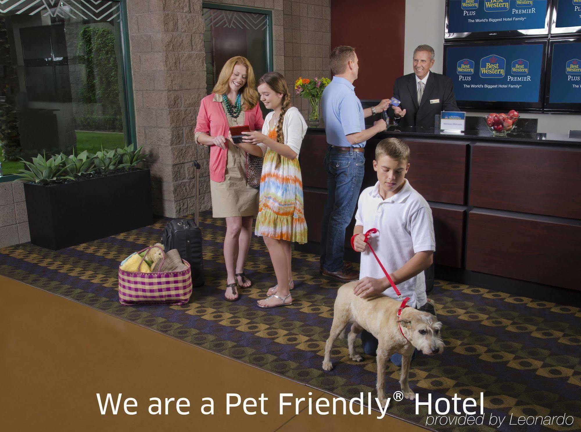 Best Western Plus Lytle Inn And Suites Dış mekan fotoğraf